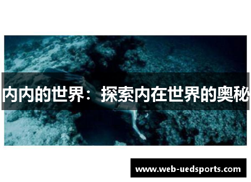 内内的世界：探索内在世界的奥秘