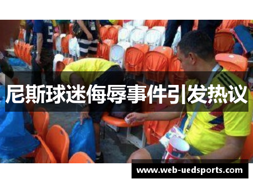 尼斯球迷侮辱事件引发热议